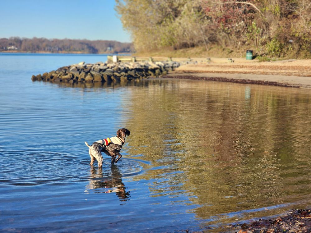 "Cold November Morning" by Amy Donovan